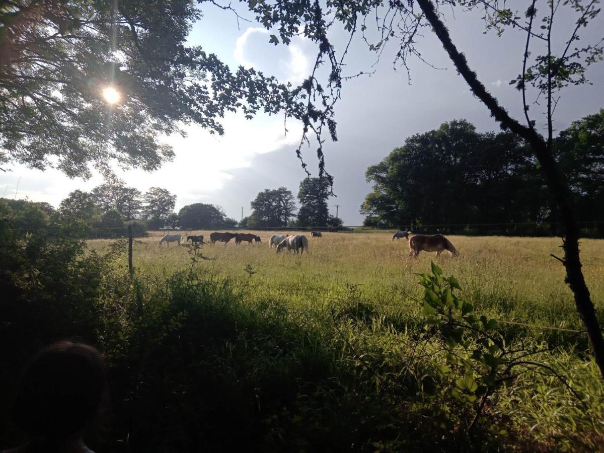 Farm stay La Vergne
